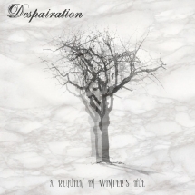 Despairation - A Requiem In Winter