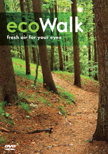 Eco Walk
