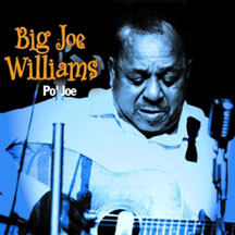 Big Joe Williams - Po