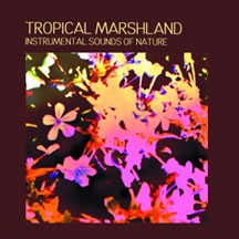 Instrumental Sounds Of Nature - Tropical Marshland