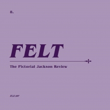 Felt - The Pictorial Jackson Review: Remastered CD & 7 Inch Vinyl Boxset