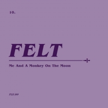 Felt - Me and A Monkey On the Moon: Remastered CD & 7 Inch Vinyl Boxset