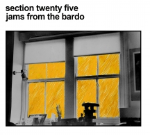 Section 25 - Jams From The Bardo