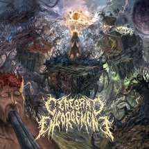 Cerebral Engorgement - Cerebral Chronicles