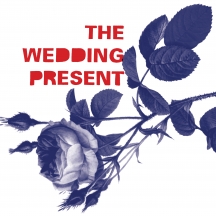 The Wedding Present - Tommy 30