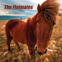 Flatmates - The Flatmates