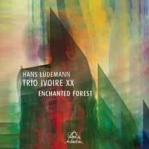Hans Ludemann & Trio Ivoire XX - Enchanted Forest