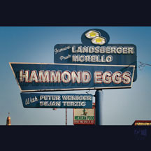 Jermaine Landsberger & Morell - Hammond Eggs