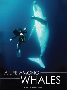 A Life Among Whales