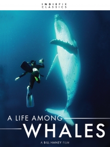 Indiepix Classics: A Life Among Whales