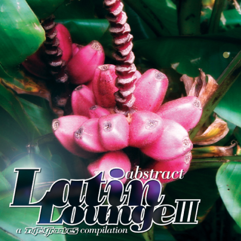 Abstract Latin Lounge III