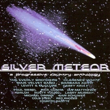 Silver Meteor : A Progressive Country Anthology