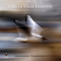 Oslo 14 Vocal Ensemble - Improvisation: Composition II