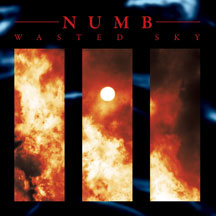 Numb - Wasted Sky Limited Edition Vinyl