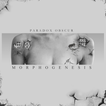 Paradox Obscur - Morphogenesis (Limited Edition LP)