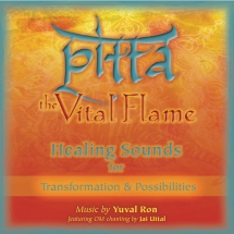 Yuval Ron - Pitta: the Vital Flame (Healing Sounds For Transformation & Possibilities) [SINGLE]