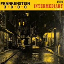 Frankenstein 3000 - Intermediary Stage