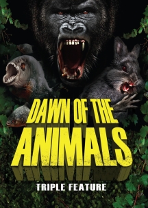 Dawn Of The Animals