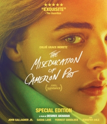 Miseducation Of Cameron Post, The (Special Edition)