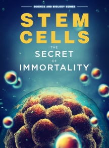 Stem Cells: The Secret To Immortality