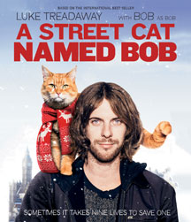 A Street Cat Named Bob