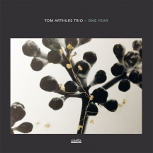 Tom Arthurs Trio - One Year