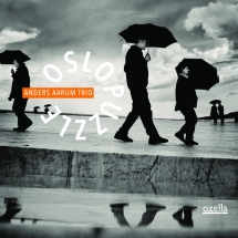 Anders Aarum Trio - Oslo Puzzle