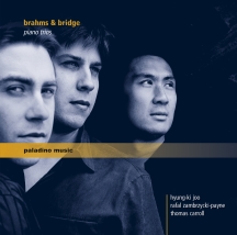 Joo & Zambrzycki-Payne & Carroll - Piano Trios By Brahms And Bridge