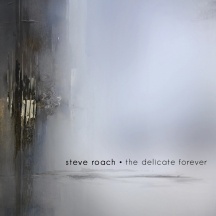 Steve Roach - The Delicate Forever