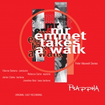Mr. Emmett Takes A Walk: Original Cast Recording