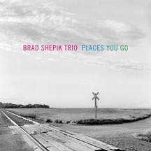 Brad Shepik Trio - Places You Go 