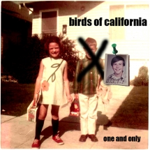 Birds of California - One and Only