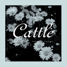 Cattle - Somehow Hear Songs