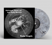 FM Einheit_David Link Feat. Poetry Machine - Radar Angels