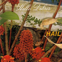 Hail - Hello Debris