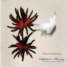 Nikola Kodjabashia - Explosion Of A Memory