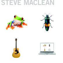 Steve Maclean - Frog Bug Guitar Computer