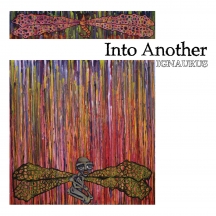 Into Another - Ignaurus