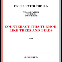 Eloping With The Sun - Counteract This Turmoil Like Trees And Birds