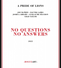 A Pride Of Lions - No Questions No Answers