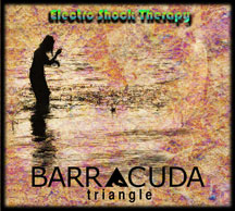 Barracuda Triangle - Electro Shock Therapy