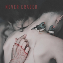 Never Erased