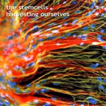 Stemcells - Harvesting Ourselves