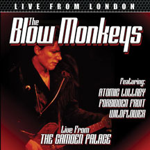 Blow Monkeys - Live From Camden Palace