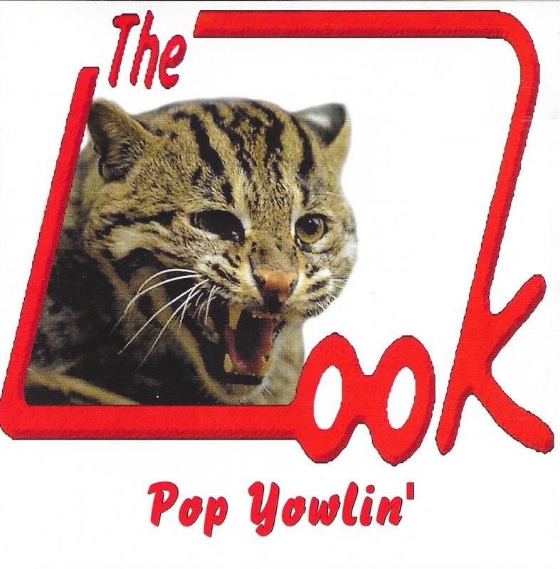 The Look - Pop Yowlin