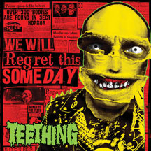 Teething - We Will Regret This Someday