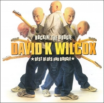 David Wilcox - Rockin