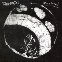 Dangerbird - Homestead