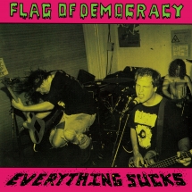 Flag Of Democracy (FOD) - Everything Sucks