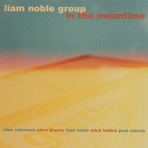 Liam Noble - In The Meantime